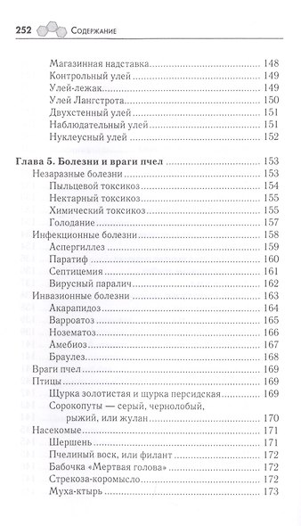Роскошная пасека на дачном участке - фото 6