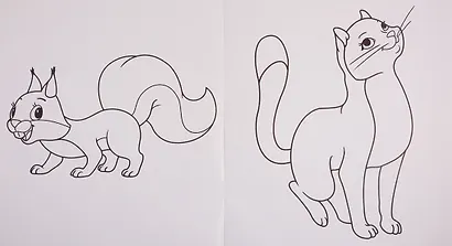 В ярком мире животных - фото 2