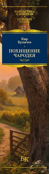 Похищение чародея - фото 14