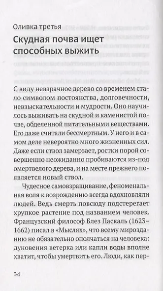 Дивная олива. Краткое культурологическое исследование - фото 4