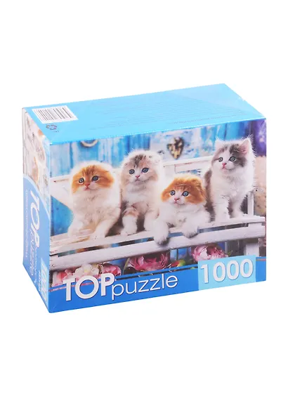 Пазл Котята скоттиш фолд 1000 элементов TOPpuzzle ШТТП1000-4154 - фото 1