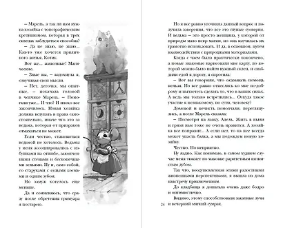 Хозяйка магической лавки. Книга 1 - фото 7