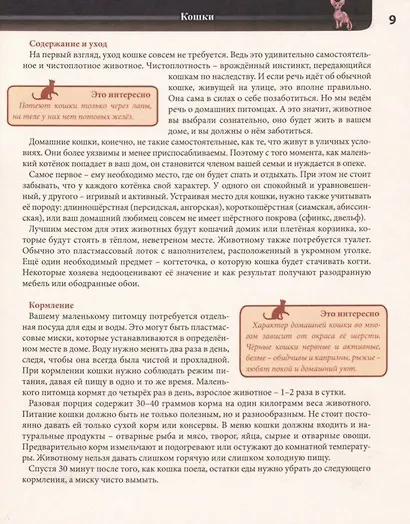 Домашние питомцы. Энциклопедия - фото 3