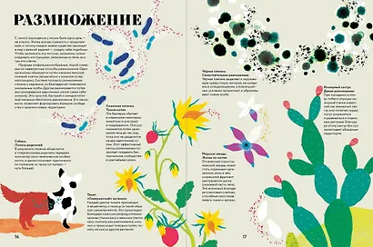 Чудесная книга жизни - фото 3