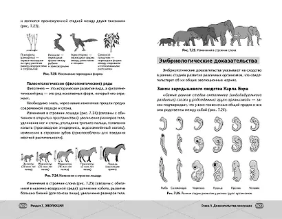ЕГЭ. Биология - фото 15