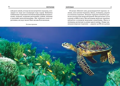 Рептилии. - фото 3