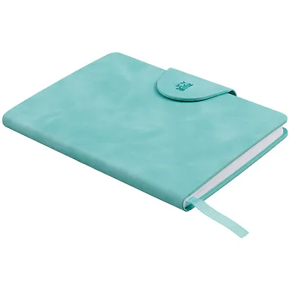 Записная книжка А6 80л лин. "Snap book. No 2" иск.кожа, интегр.переплет, клапан, термотиснение, ляссе, инд.уп. - фото 2