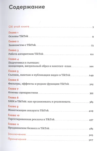 TikTok без танцев: Снимай, продавай, зарабатывай - фото 2