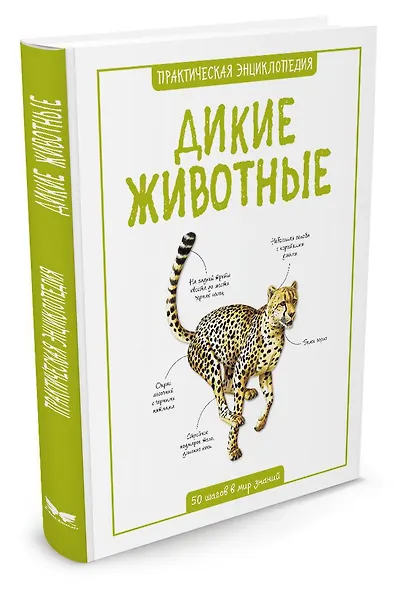 Дикие животные - фото 2