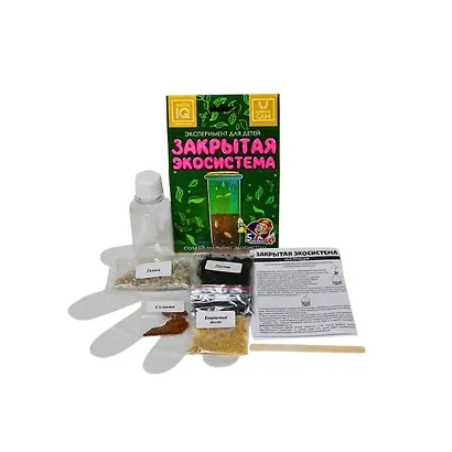 Эксперимент для детей "Закрытая Экосистема" - фото 3