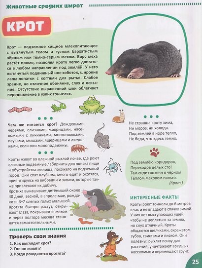Я уЗНАЮ мир. Дикие животные. Познавательная книга для детей 4-8 лет - фото 5