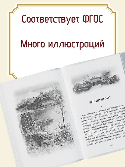 Серая Шейка - фото 4