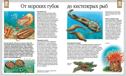 Динозавры - фото 3