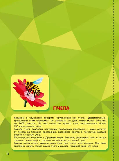 Дивный сад - фото 9