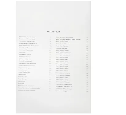 Библия с илл.С.Дали (№ 389 бриллиант опал розовый рубин сапфир) - фото 6
