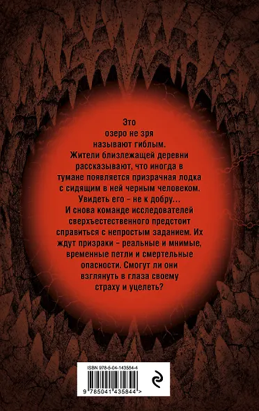 Секретное досье. Подарочное издание: Тишина старого кладбища. Хозяин гиблого места (комплект из 2-х книг) - фото 2
