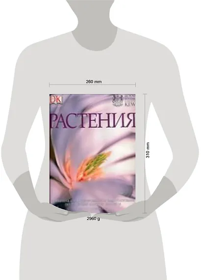 Растения: Новейшая иллюстрированная энциклопедия по зеленому царству планеты - фото 2