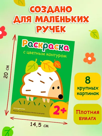 Раскраска с цветным контуром (Ежик) - фото 7