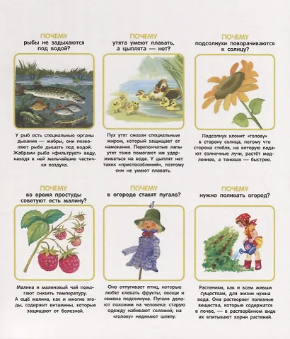 Мои первые ПОЧЕМУ? / Е. Колузаева. - 2019, М. : Стрекоза. - (Энциклопедия малыша). - ISBN 978-5-9951-3865-5 (7Б) - фото 4