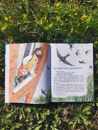 Птицы. Детская энциклопедия (Чевостик) - фото 10