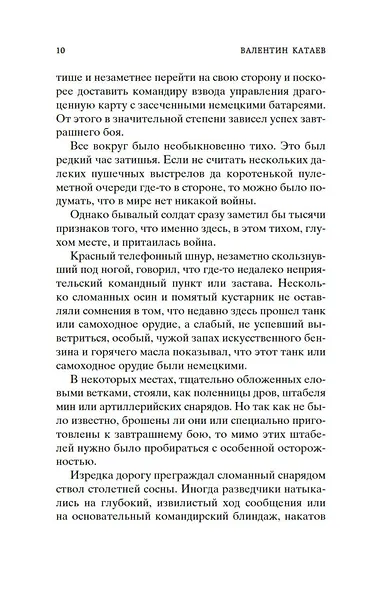 Сын полка - фото 13