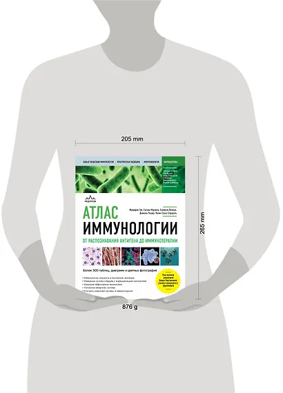 Атлас иммунологии. От распознавания антигена до иммунотерапии - фото 4