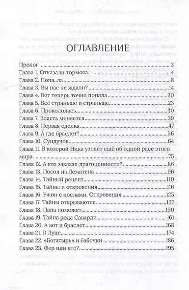Дом быта госпожи попаданки - фото 4