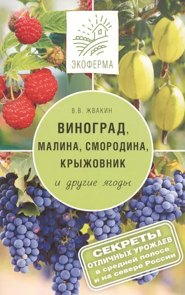 Виноград, малина, смородина, крыжовниик и другие ягоды - фото 1