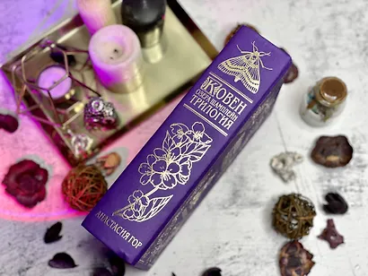 Ковен озера Шамплейн. Трилогия - фото 5