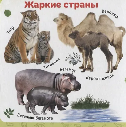 Мамы и детки - фото 4
