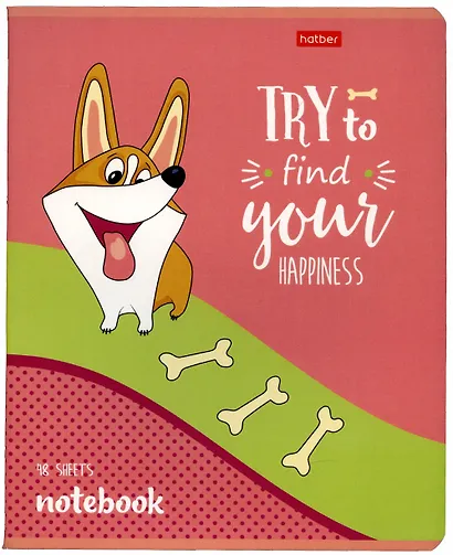 Тетрадь в клетку Hatber, "Рыжий Коржик", 48 листов, в ассортименте - фото 2