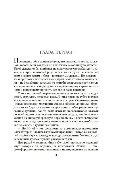 Зов ночной птицы - фото 8