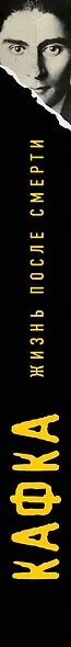 Кафка. Жизнь после смерти. Судьба наследия великого писателя - фото 5
