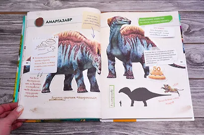 Динозавры. Полный гид - фото 9