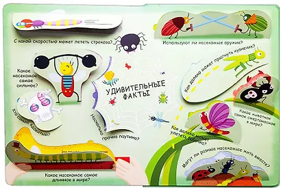 Микромир - фото 5