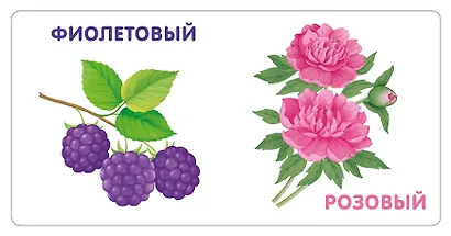 Книжки-картонки. Цвета в природе - фото 4