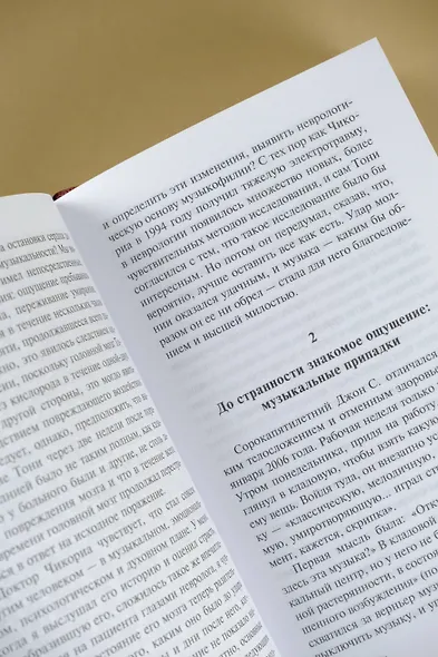 Музыкофилия - фото 7