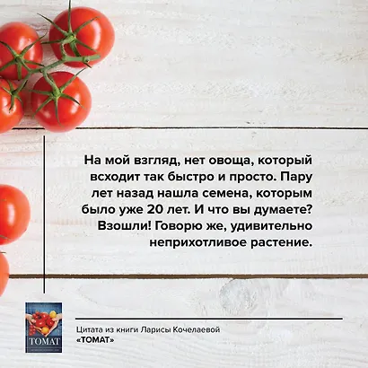 Томат. Выращиваем, ухаживаем и едим - фото 6