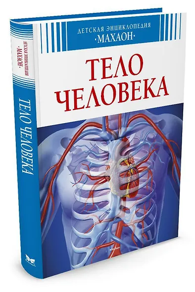 Тело человека - фото 2