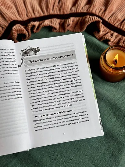 Евгений Онегин. Роман с разбором психолога и литературоведа - фото 11