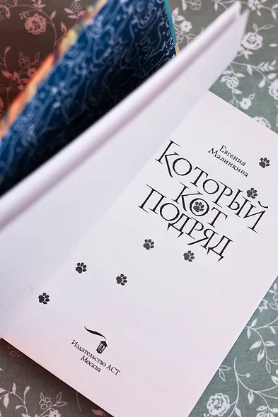 Который кот подряд - фото 11