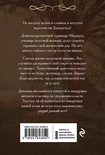 Закон Благодарности. Ведьма - фото 2