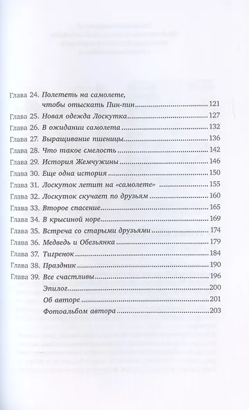 Приключения Маленького Лоскутка - фото 3