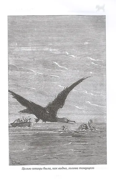 Морской волчонок - фото 6