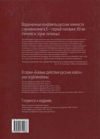 Вооруженные конфликты русских княжеств с кочевниками в X – первой половине XIII вв - фото 2