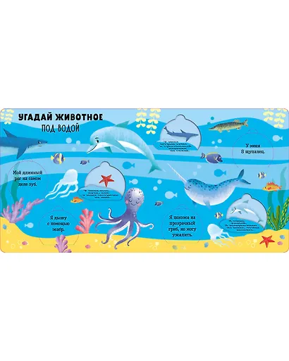 Книжка с окошками. Угадай животное - фото 4