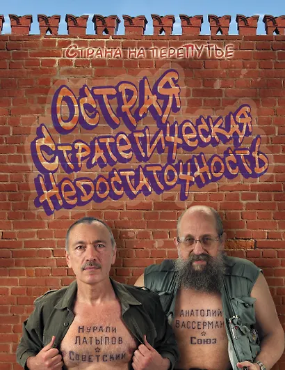 Острая стратегическая недостаточность. Страна на переПутье - фото 1