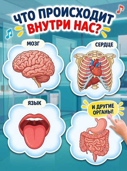 Тело человека. Интерактивная энциклопедия - фото 7