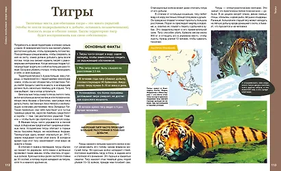 Самые необычные звери мира - фото 11