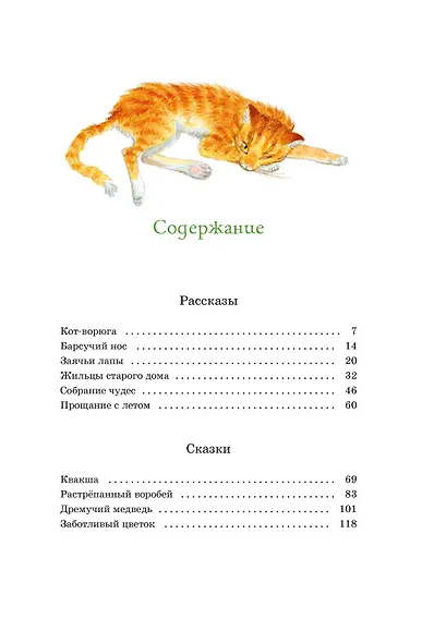 Кот-ворюга. Рассказы и сказки - фото 7